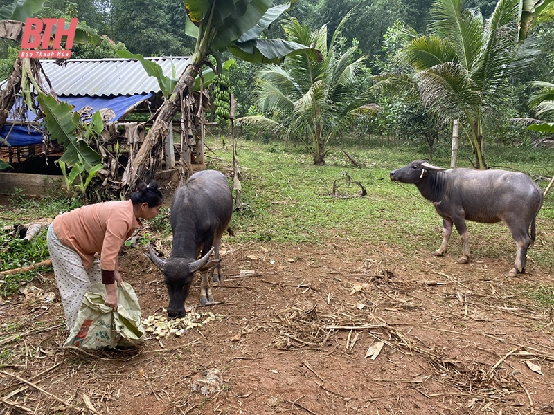 Thực hiện chương trình mục tiêu quốc gia giảm nghèo bền vững: Nhiều khó khăn, vướng mắc cần tháo gỡ