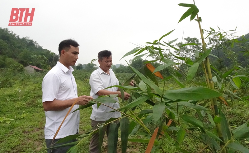 Kỳ vọng vào những cây trồng mới