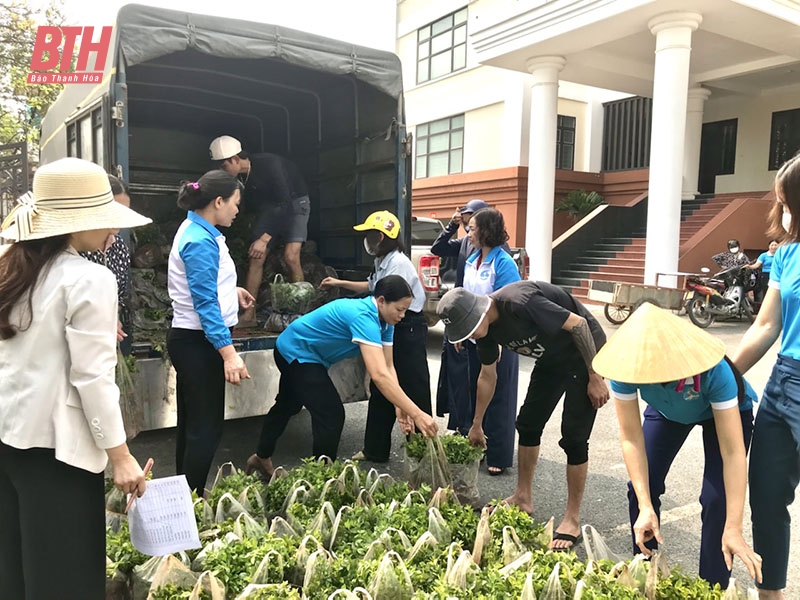 Đẹp phố, đẹp làng từ bàn tay phụ nữ