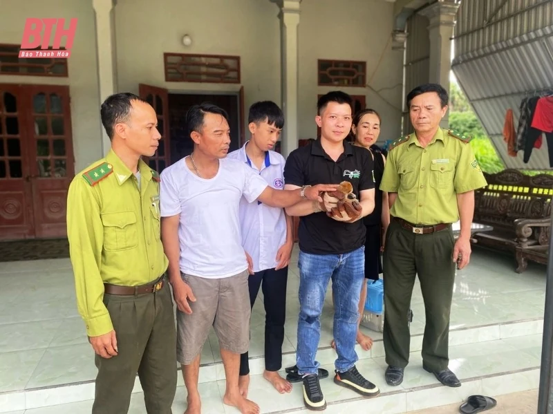 Giao nộp cá thể cu li cho Trung tâm Cứu hộ, bảo tồn và phát triển sinh vật Vườn Quốc gia Cúc Phương 