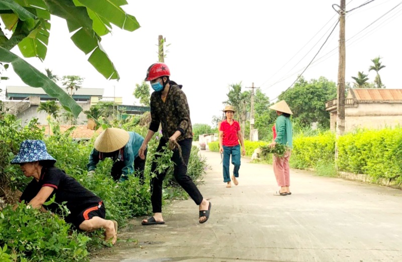 Nhiều hoạt động kỷ niệm 134 năm Ngày sinh Chủ tịch Hồ Chí Minh