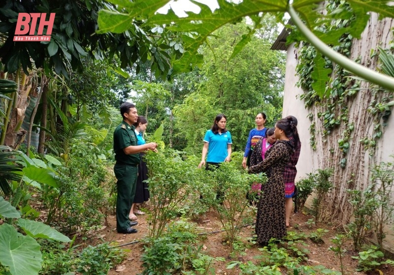 Ra mắt mô hình “Vườn rau xanh, nhà sạch đẹp, bếp ngăn nắp, chuồng xa nhà”