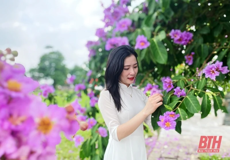 Thành phố tràn sắc tím bằng lăng
