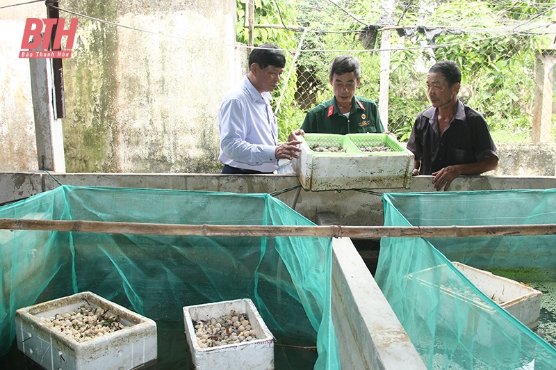 Dấu ấn phong trào “Cựu chiến binh gương mẫu” ở thị xã Nghi Sơn