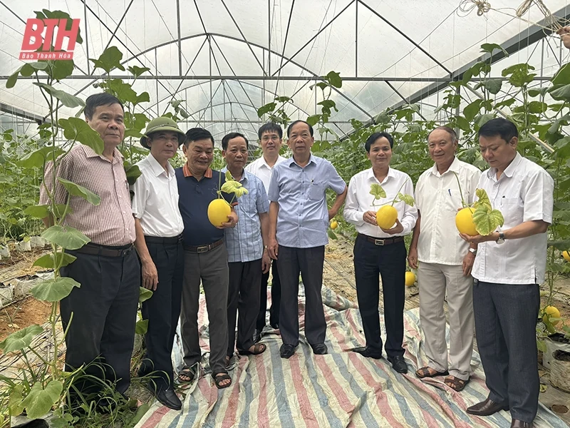 Ứng dụng khoa học - công nghệ và đổi mới sáng tạo trong sản xuất nông nghiệp ở huyện Yên Định