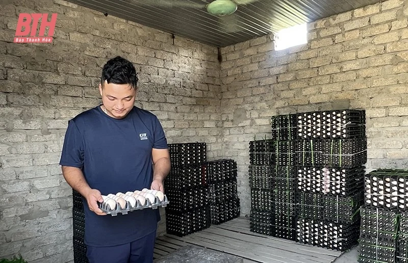 Những nông dân mang tư duy chăn m m88 mới