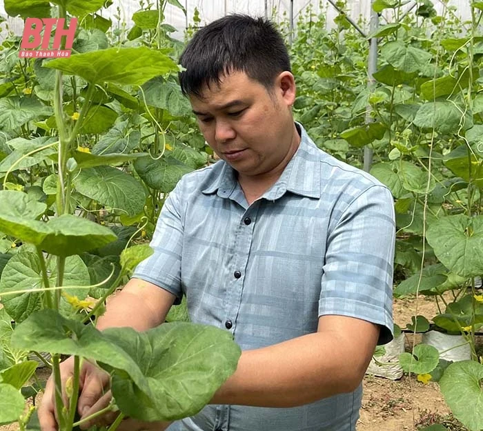 Đảng viên Lê Văn nhà cái m88 làm kinh tế giỏi