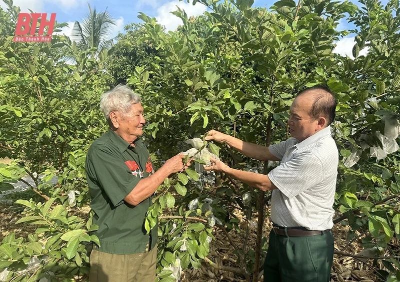 Cựu chiến binh kèo nhà cái m88, sống nghĩa tình