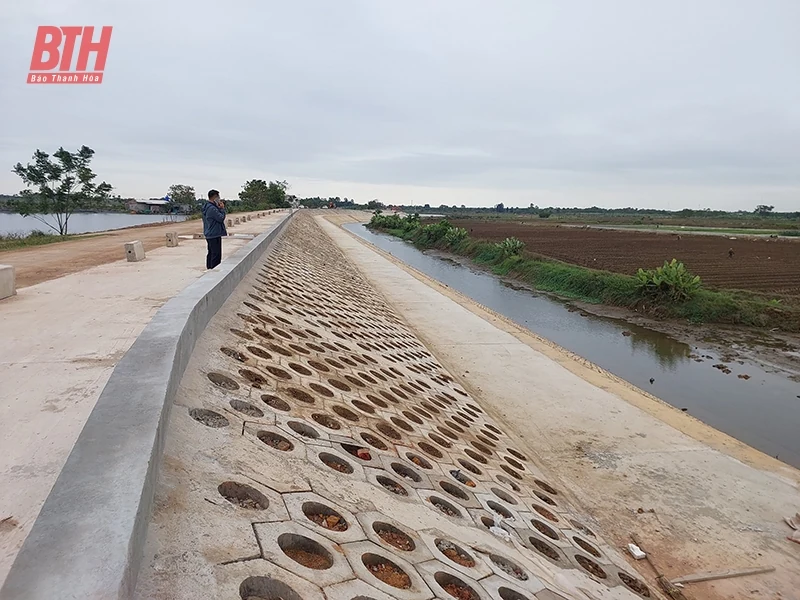  Quy định link vào m88 mới nhất pháp luật về đóng góp Quỹ phòng, chống thiên tai