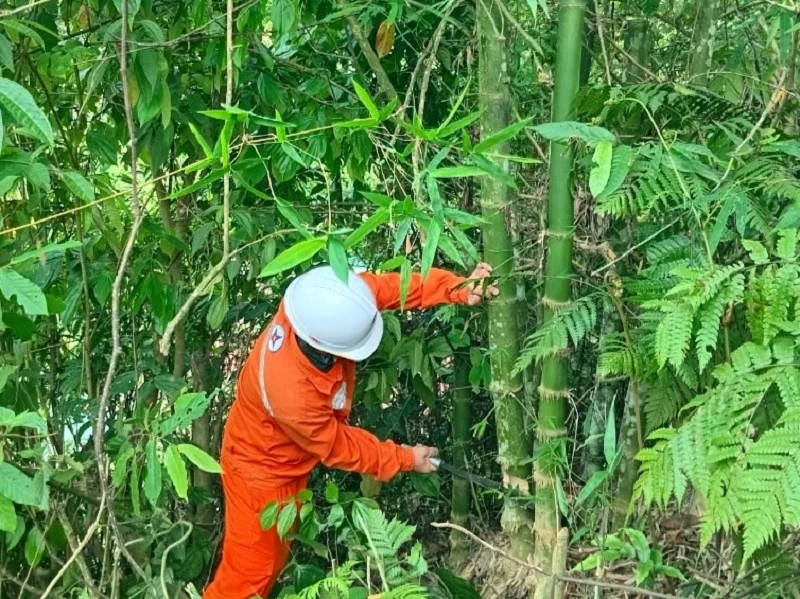 Điện lực Quan dang nhap m88 tăng cường kiểm tra, tuyên truyền sử dụng điện an toàn