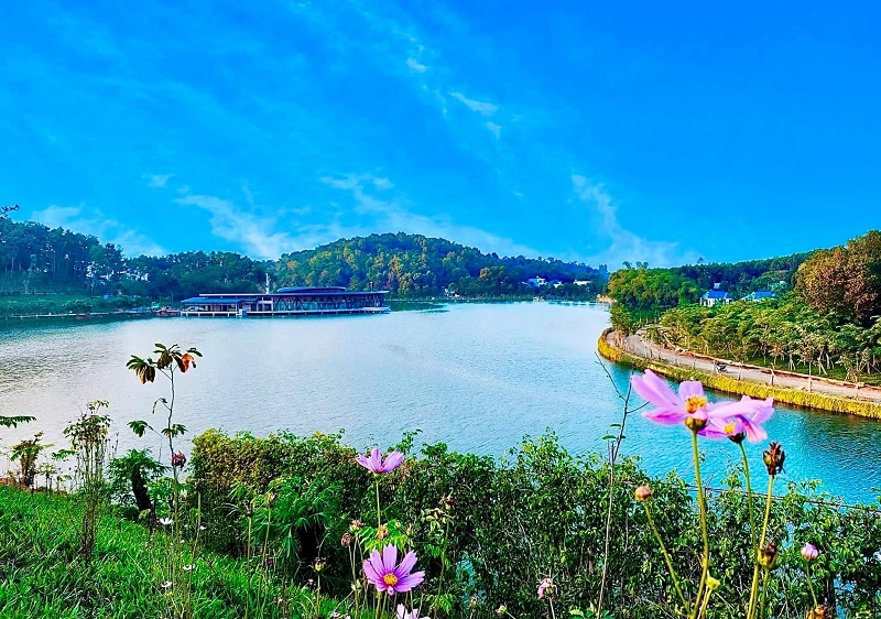 Viết giai điệu cho khúc ca mùa thu