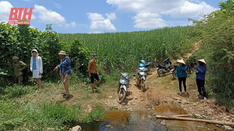 Nhiều chỉ tiêu môi trường vượt quy định, một trang trại chăn nuôi lợn bị phạt hơn 120 triệu đồng