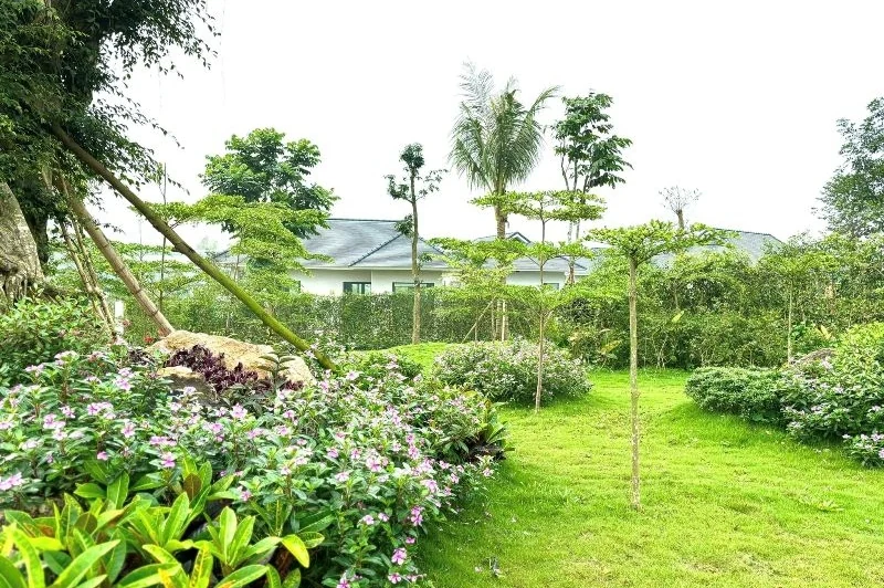 Sông núi Lam Kinh nuôi tâm thức