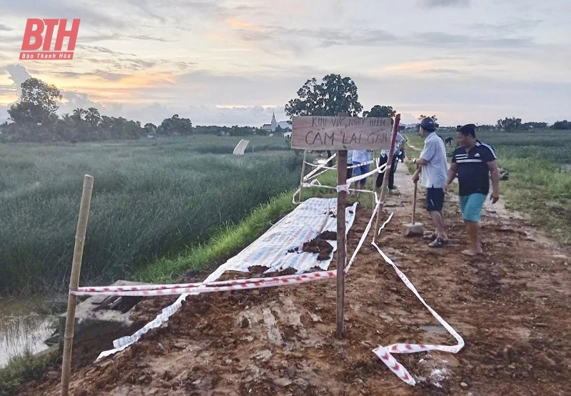 Nỗi lo từ những tuyến đê