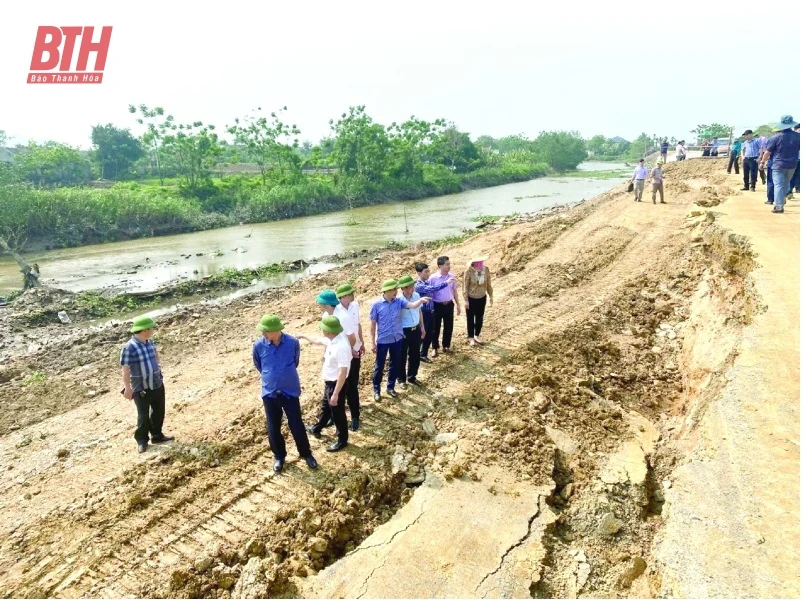 Nỗi lo từ những tuyến đê