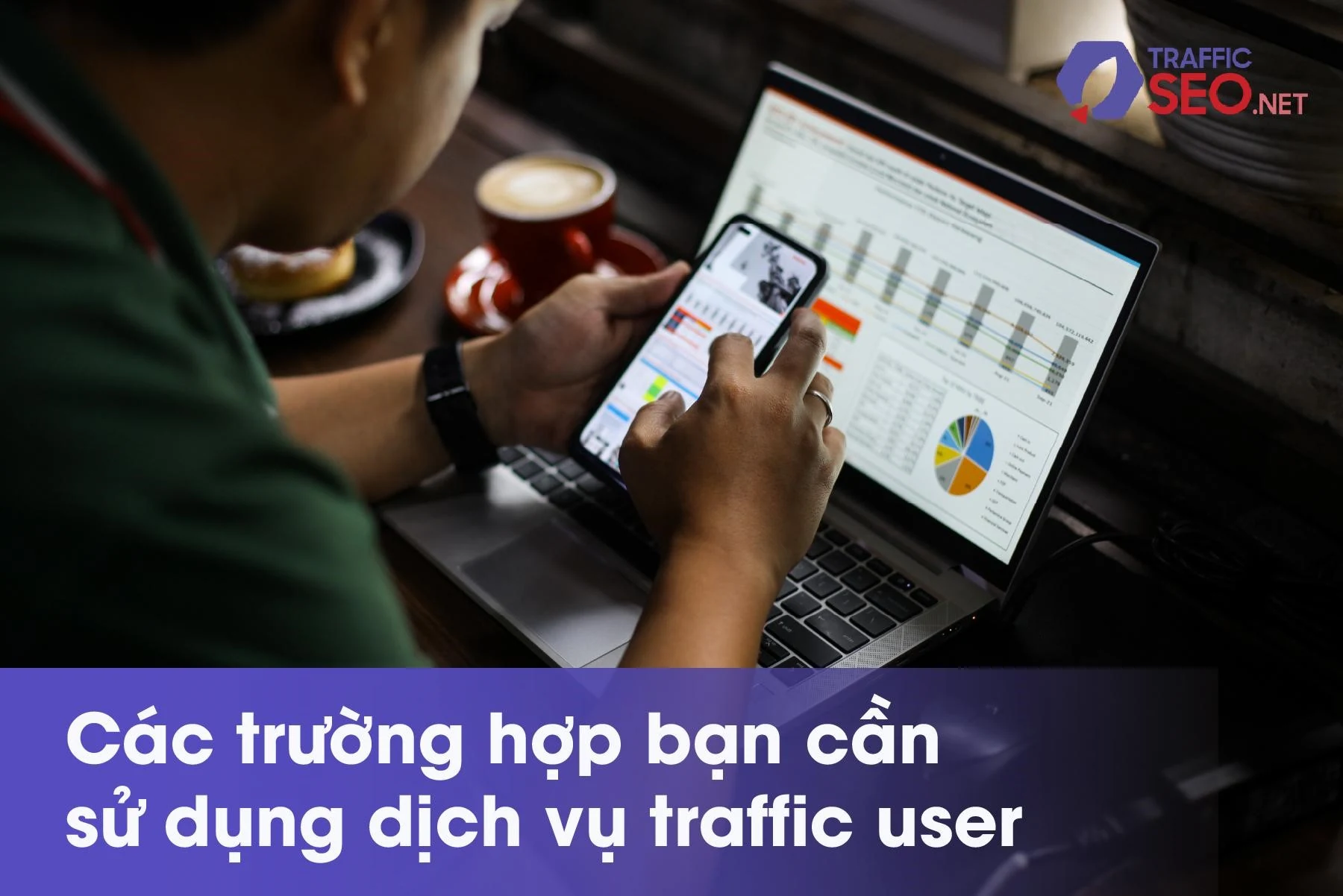 Có nên chọn dịch vụ traffic user giá rẻ tại TrafficSEO hay không?