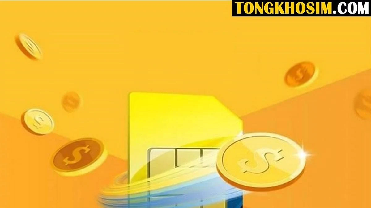 Sim số đẹp sẽ tăng hay giảm giá trị theo thời gian?