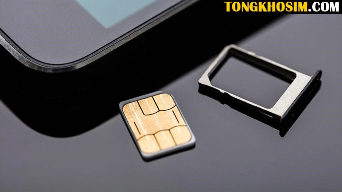 Sim số đẹp sẽ tăng hay giảm giá trị theo thời gian?