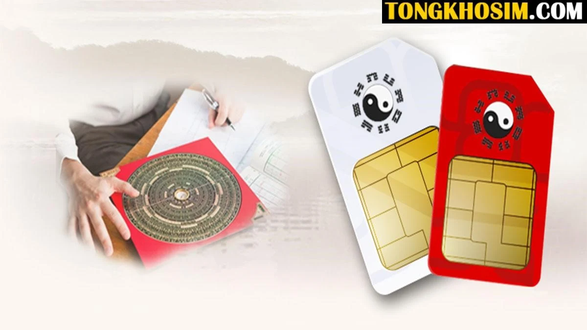 Sim số đẹp sẽ tăng hay giảm giá trị theo thời gian?