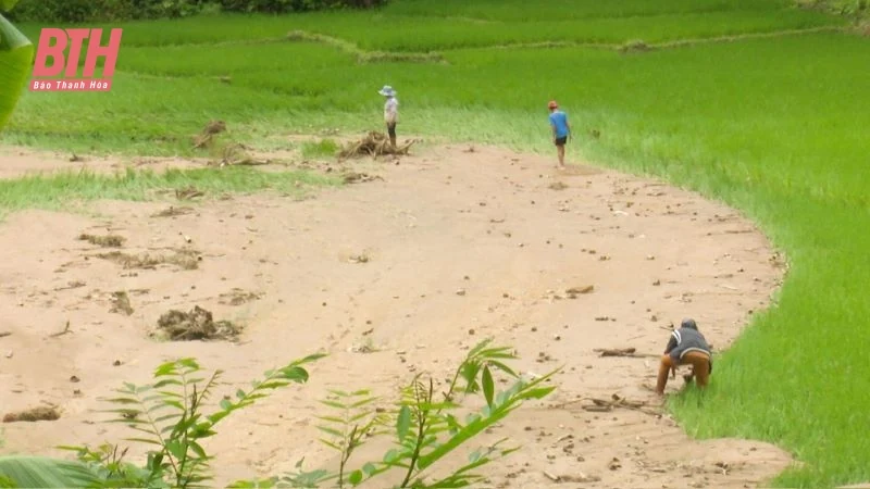 Mưa lớn gây thiệt hại trên địa bàn huyện Quan Sơn