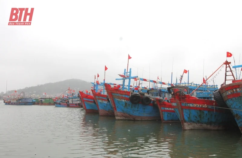 Đề nghị đưa 80 link vào m88 bhki cá ra khỏi danh sách có nguy cơ cao vi phạm IUU