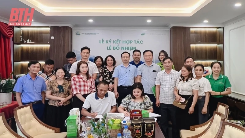 Xúc tiến, quảng bá, giới thiệu sản phẩm OCOP Thanh Hóa tại TP Hà Nội