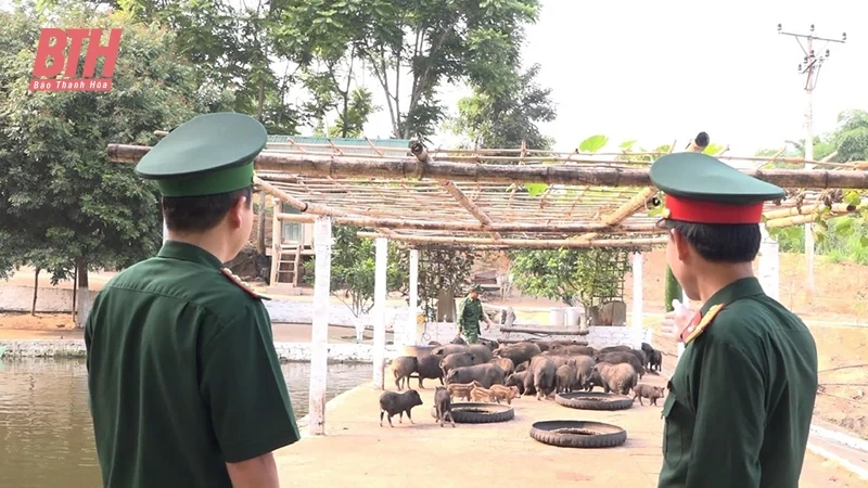“Thực túc binh cường” nơi m88 trang chủ cương