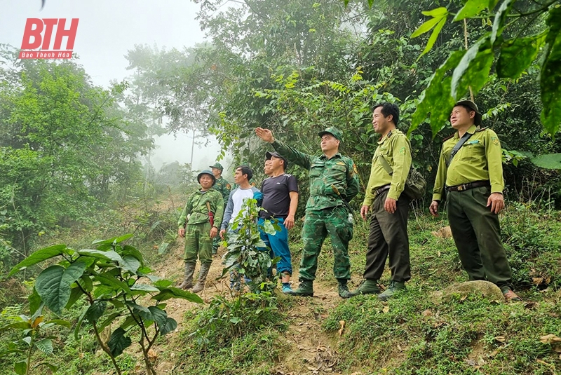 “Lực lượng tiên phong” của Đảng trong quản lý, bảo vệ và phát triển rừng (Bài 2): Phát huy vai trò của cấp ủy