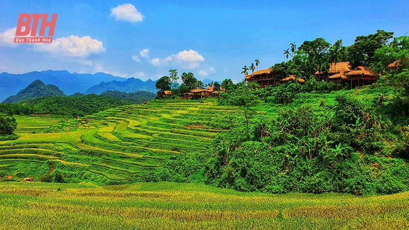 Thành Lâm: Nơi đất, núi chuyển mình