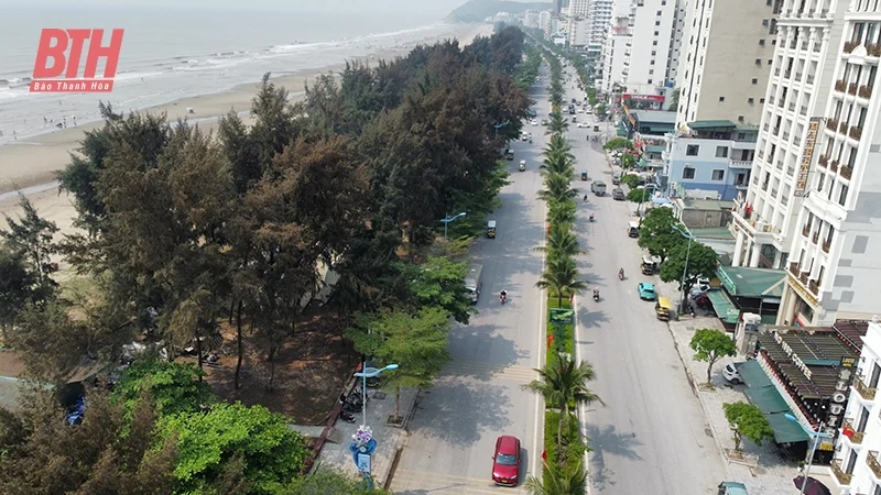 “Nâng hạng” cho du m88 the thao Thanh Hóa