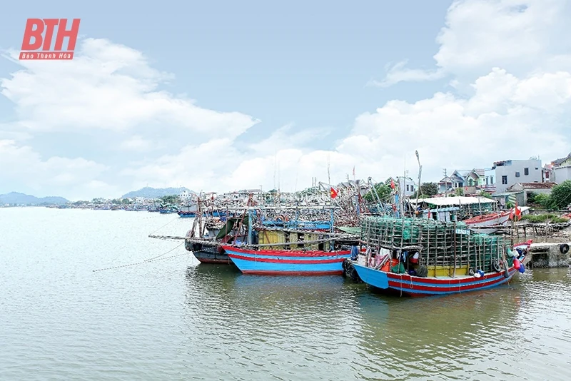 Sẵn sàng các phương án ứng phó với mưa bão