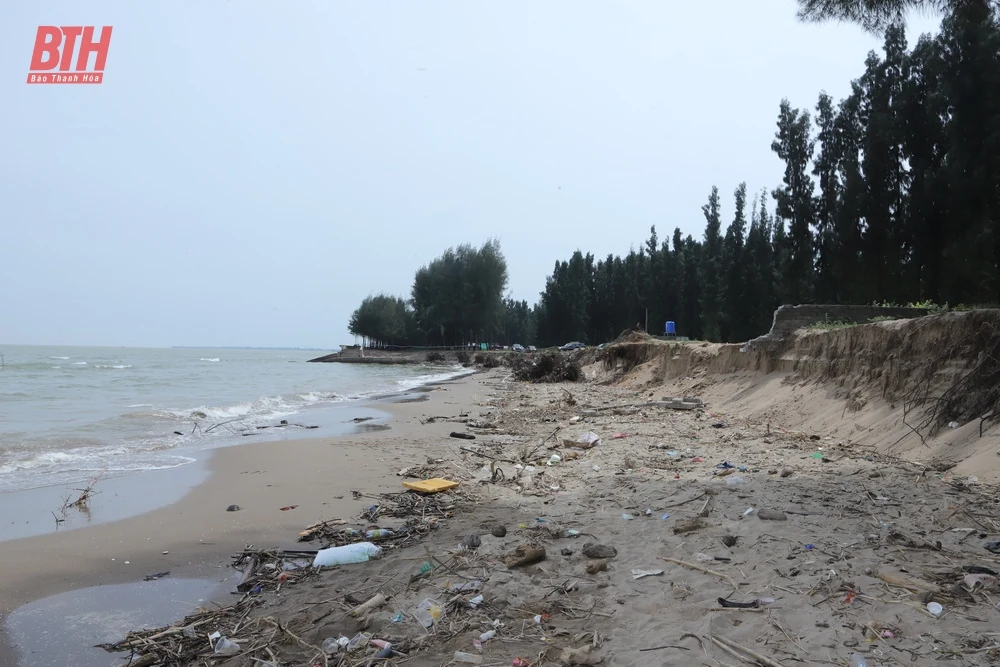Công bố tình huống khẩn cấp sạt lở, xâm thực bờ biển khu vực 3 xã Hoằng Trường, Hoằng Thanh, Hoằng Phụ