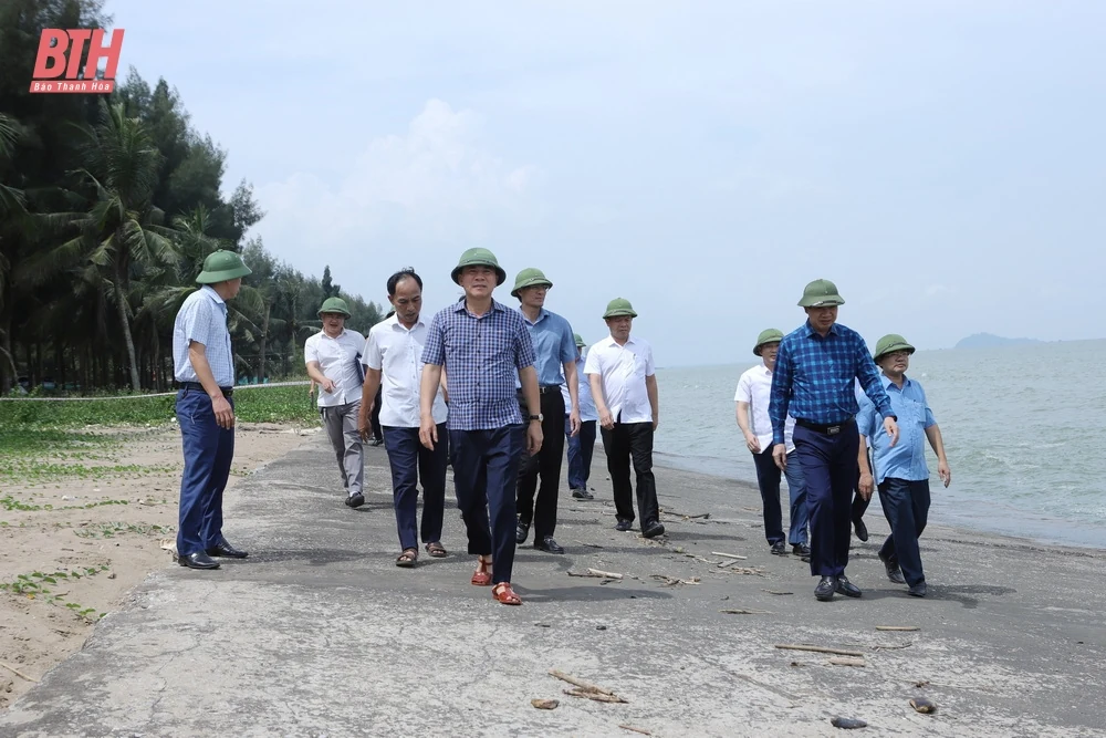Bí thư Tỉnh ủy Đỗ Trọng Hưng kiểm tra và chỉ đạo xử lý tình trạng sạt lở, xâm thực bờ biển tại Hoằng Hóa