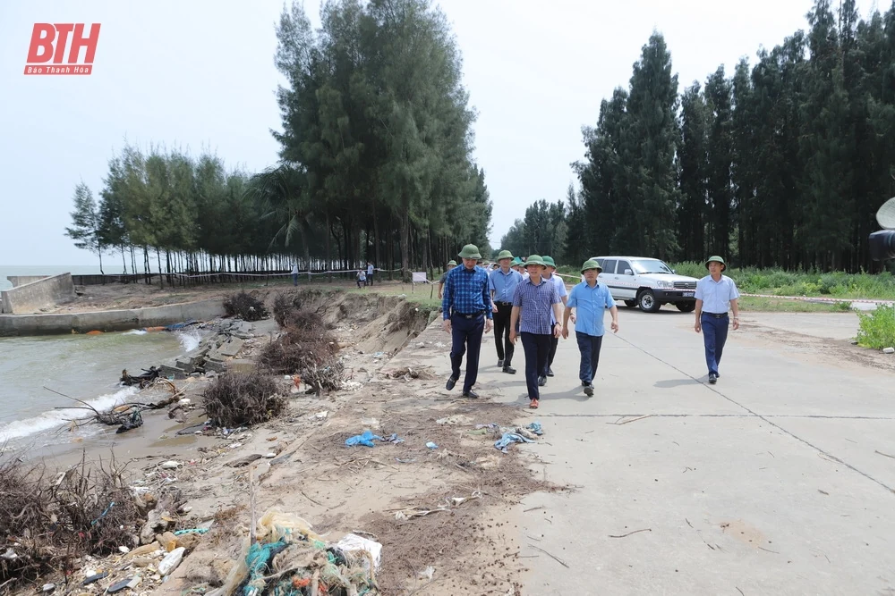 Bí thư Tỉnh ủy Đỗ Trọng Hưng kiểm tra và chỉ đạo xử lý tình trạng sạt lở, xâm thực bờ biển tại Hoằng Hóa