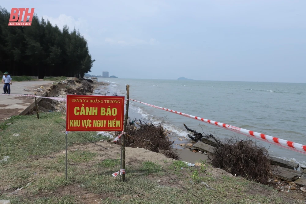 Bí thư Tỉnh ủy Đỗ Trọng Hưng kiểm tra và chỉ đạo xử lý tình trạng sạt lở, xâm thực bờ biển tại Hoằng Hóa