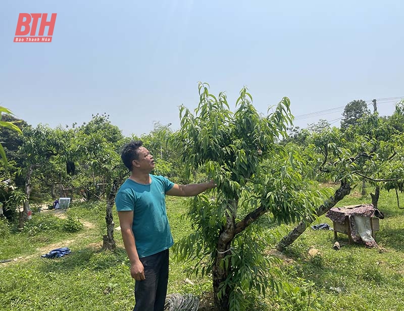 Hội Làm vườn và Trang trại tỉnh góp phần nâng cao hiệu quả sản xuất nông nghiệp