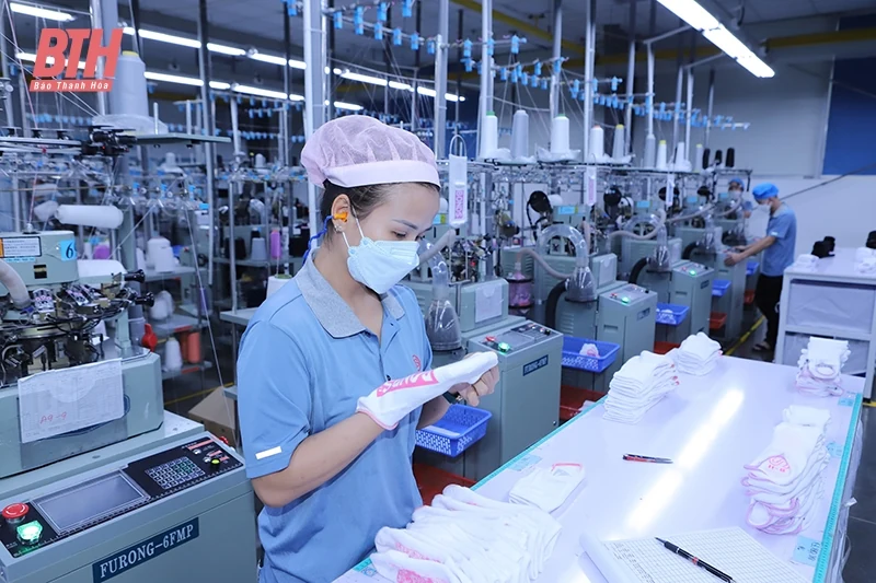 Định vị hàng hóa xứ Thanh trên thị trường (Bài 2): Những bước chinh phục ấn tượng