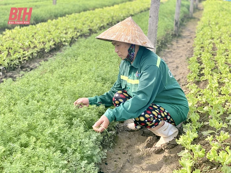 Xây dựng chuỗi cung ứng thực m88 the thao an toàn
