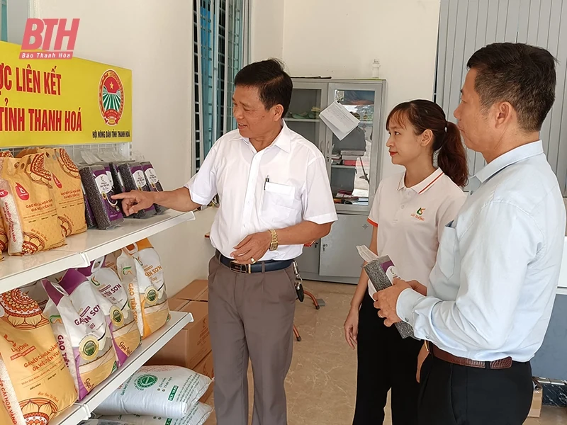 Hà Trung mở rộng diện tích m88 link mới nhất