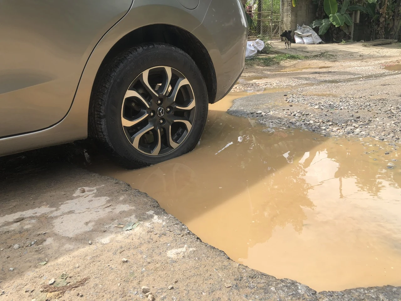 Đường tỉnh 520 đoạn qua các xã Hợp Thành, Triệu Thành (Triệu Sơn) sắp được sửa chữa