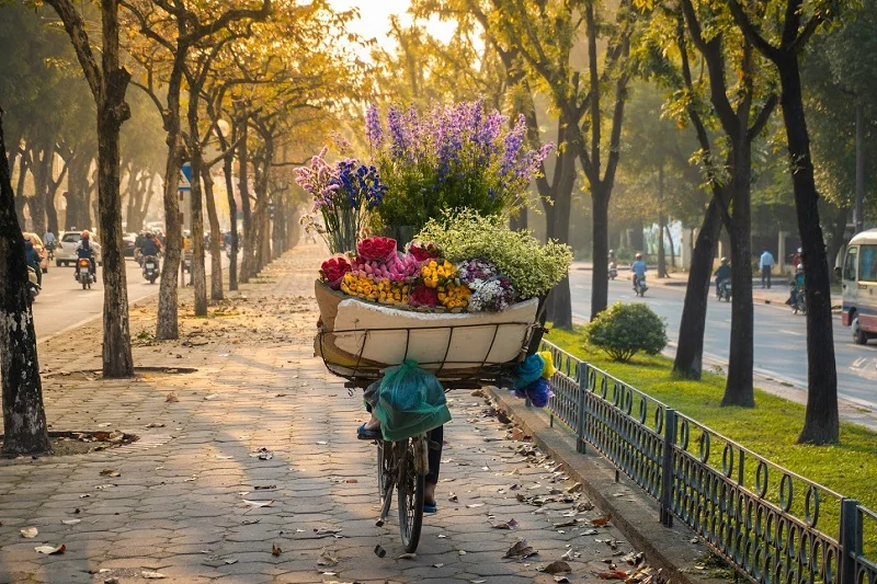 Du lịch Việt Nam mùa thu đông: Trải nghiệm nào cho một chuyến đi hoàn hảo?