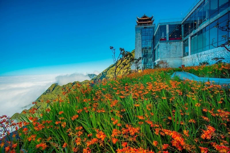 Lễ hội “Mùa vàng bản Mây” khuấy động không khí Fansipan