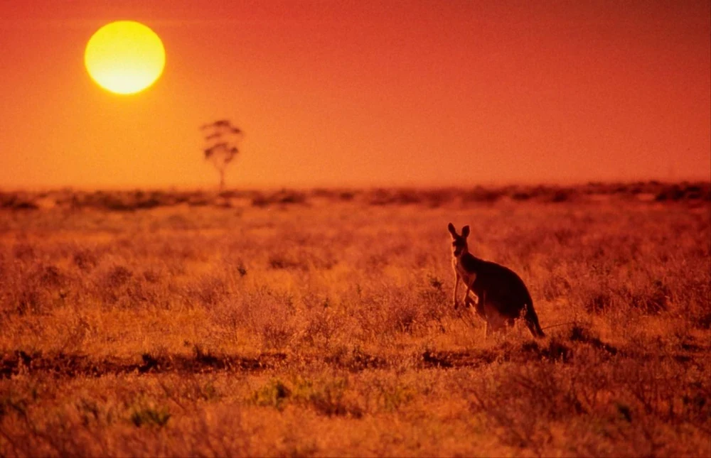 Australia ghi nhận ngày mùa Đông nóng kỷ lục, nhiệt độ lên đến 41,6 độ C