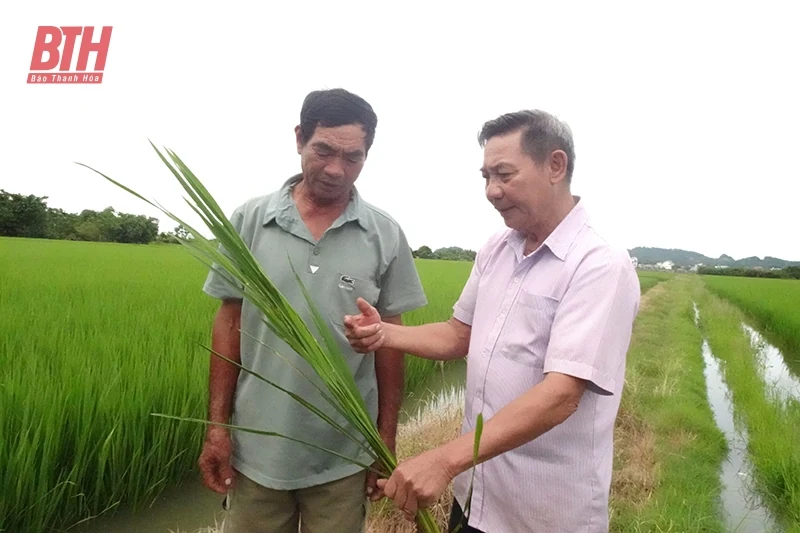 m88 cá cược thể thao trực tuyến chết”