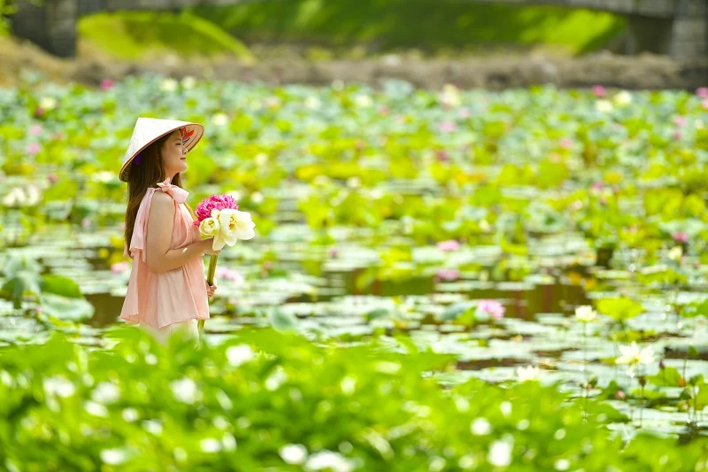 Bật mí điểm check-in với sen cực hot khi đến Sun World Ha Long