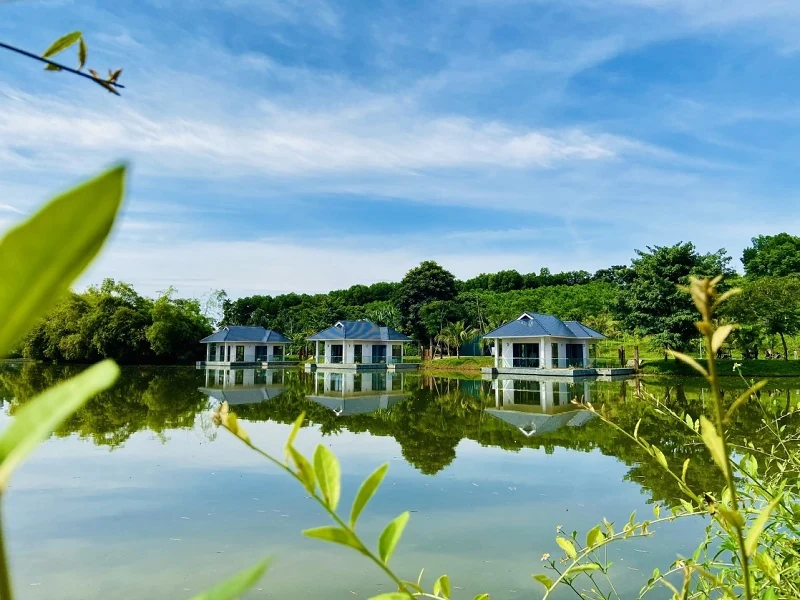 Bức tranh “thi vị” bên hồ Vua Lê