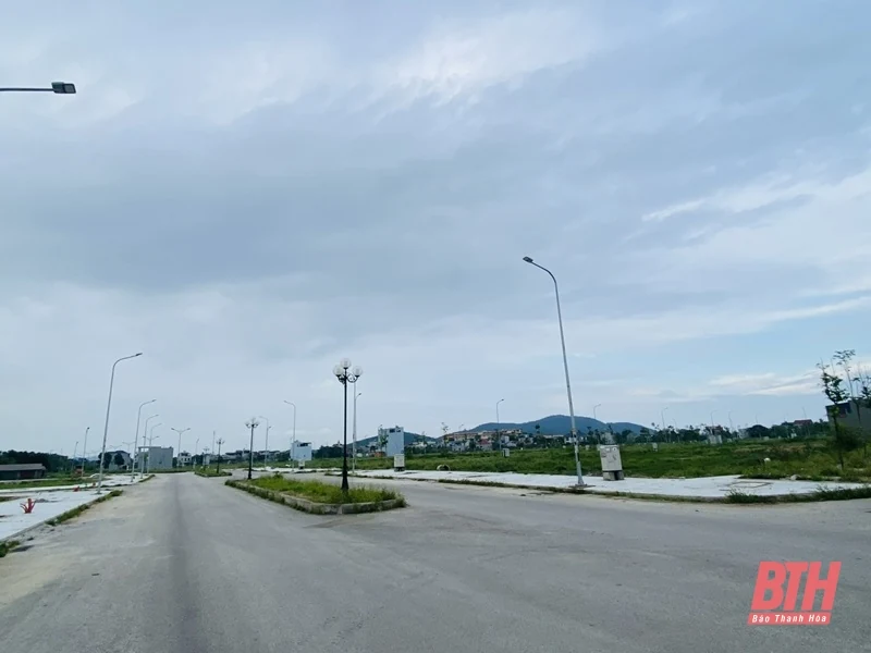 Kịp thời ngăn chặn hành vi lợi dụng đấu giá quyền sử dụng đất để trục lợi