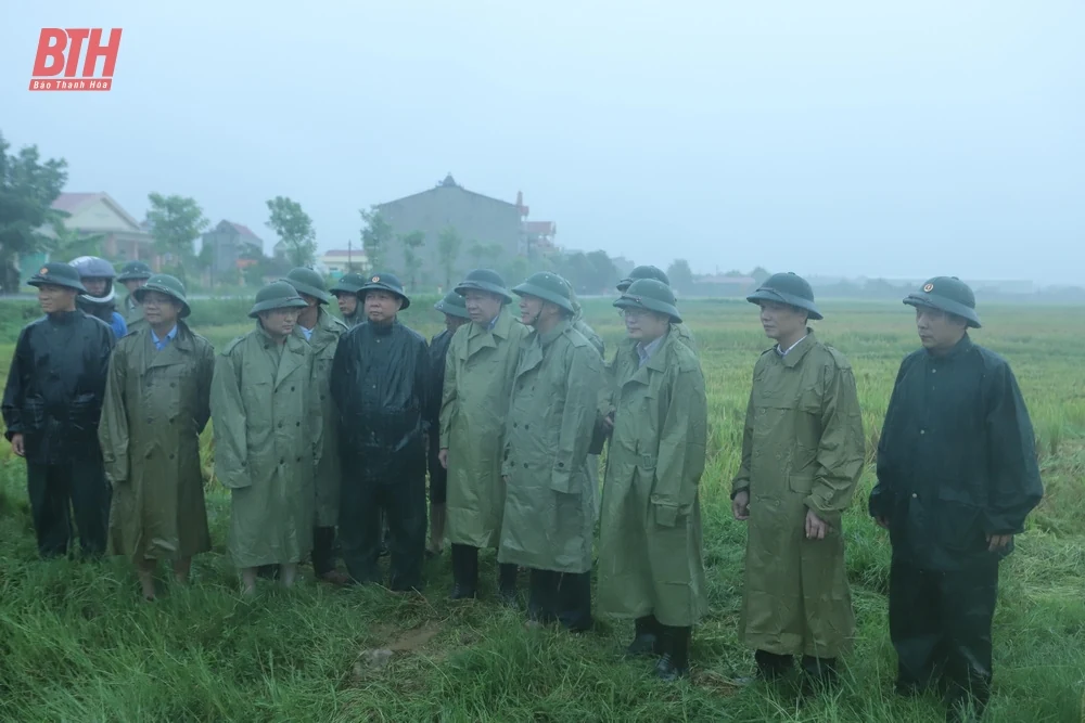 Phó trưởng Ban Tổ chức Trung ương Đỗ Trọng Hưng kiểm tra công tác ứng phó với bão số 3 tại các huyện Triệu Sơn và Thọ Xuân