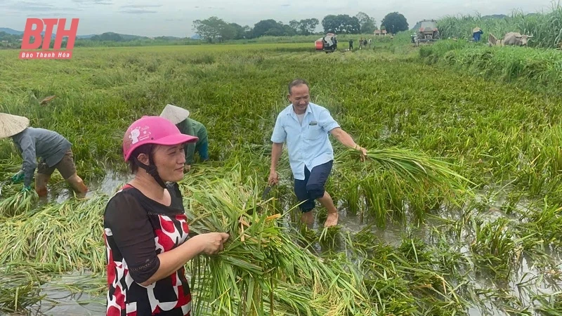 Toàn cảnh mưa lũ tại Thanh Hóa ngày 8/9