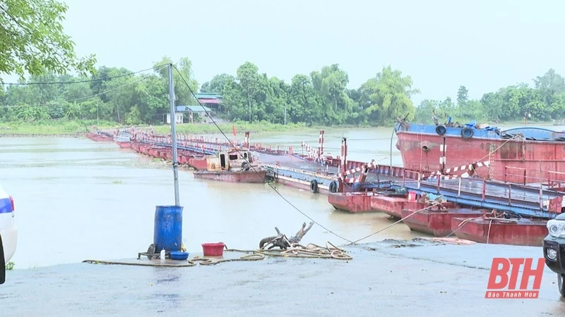 Giám đốc Công an tỉnh kiểm tra công tác phòng, chống bão số 3 tại khu vực cầu Phao Vồm và một số đơn vị Công an tỉnh